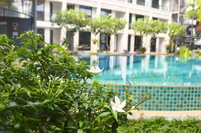 Z&Z Resort – 写真 12